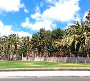 Ehemalige Ferienanlage Stella Canaris