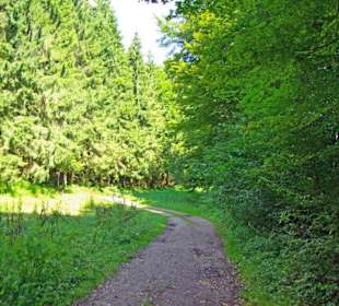 Der Therapeutische Wanderweg