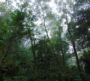 La Paz Waterfall Gardens