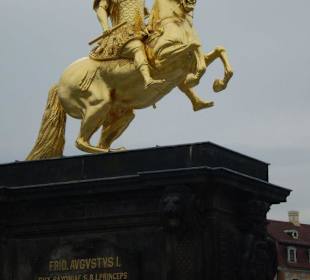 August der Starke in Gold
