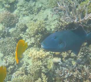 Azura Deluxe Resort & Spa Hotel