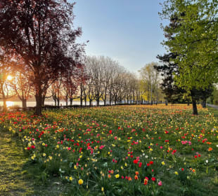 Sport & Freizeit