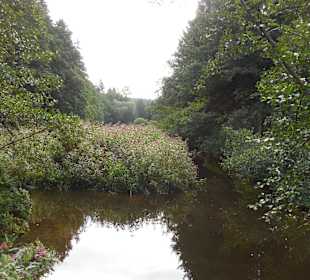 Weg zur Saußbachklamm