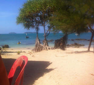 Blick vom Restaurant aus