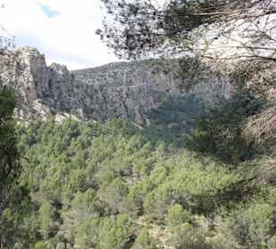 La Reseva - Parc de Natural