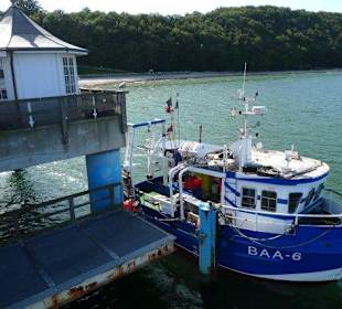 Frischer Fisch auf der Seebrücke