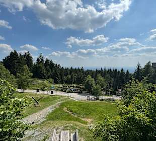 Waldwipfelweg St Englmar