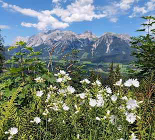 Wandern Schladming