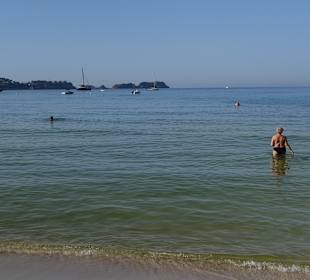 Strand Paguera/Peguera