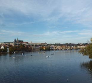Praga