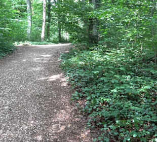 Burg Alt-Lichtenstein