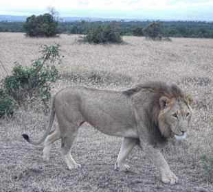 Sweetwater Game Drive