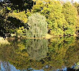 Jesień w Łazienkach