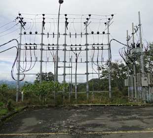 Wildlife Expeditions