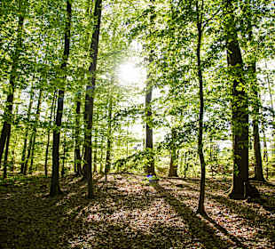 Wandern Zweibrücken