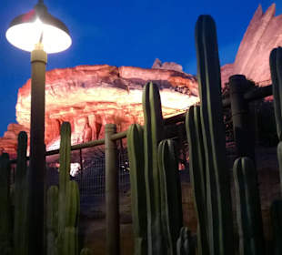 Disneyland - Anaheim, California, United States.