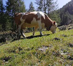 Wandern Innervillgraten