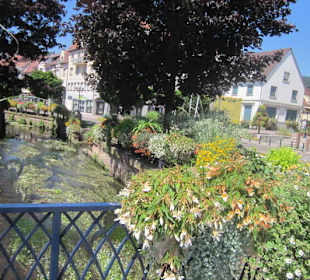 Niederbronn les Bains