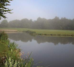 Die Anlage im Frühnebel