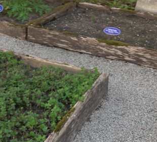 Kräutergarten Blaubeuren