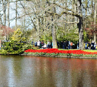 Blumenpracht im Keukenhof