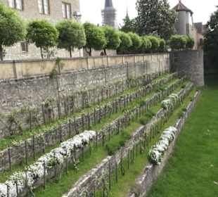 Barocker Schlossgarten