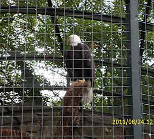 Besuch im Berliner Zoo