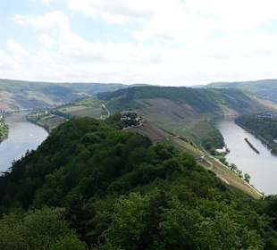 Blick von der Marienburg