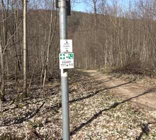 Premiumwanderweg "hochgeblickt"
