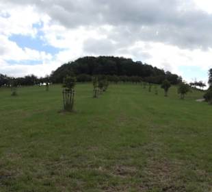 Hochgehnießen - Premiumspazierwanderweg