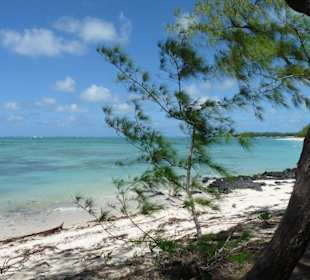 Ile aux Cerfs