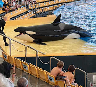 Loro Parque 