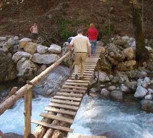 Der Steg beim Mittagessen