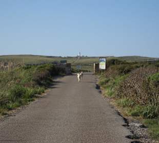 Entrada al faro de Cavalleria