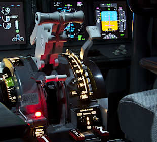 Viennaflight Boeing 737