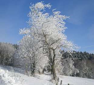 Umgebung in direkter Nähe