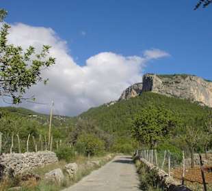 Castell Alaro bei schönstem Wetter.