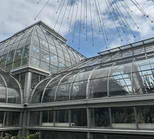 Botanischer Garten in Washington 