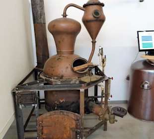 Rundgang durch das Weinmuseum Köln