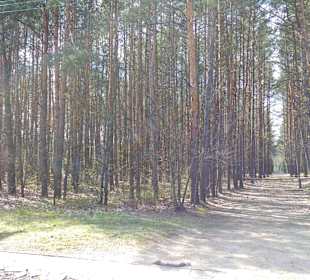 KZ Sobibor
