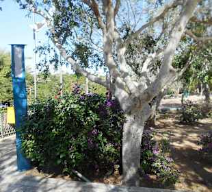 Prinzessin Salma Park