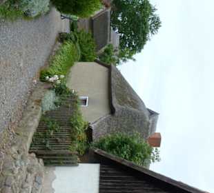Vitt auf Rügen
