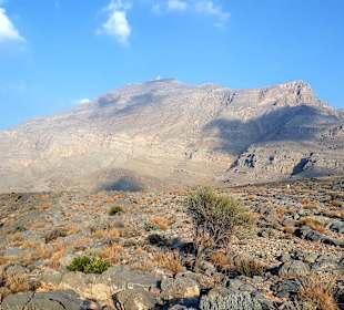 Ausflug Jebel Harim