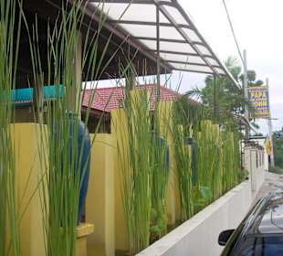 Blick von der Straße