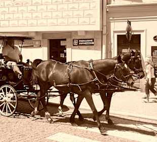 Mesto