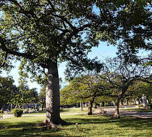 Parque Lennon 