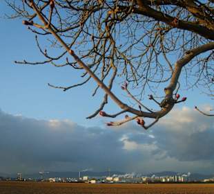 Abend im Industriegebiet