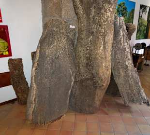 Korkverarbeitung im Museo Etnografico