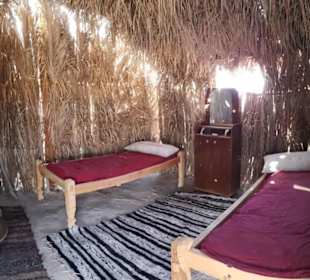 BBQ Dinner - Nighttour powerd by  E-Motion