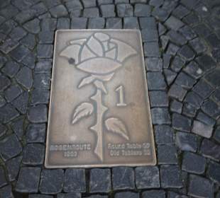 Rosenroute Nr. 1: Marktplatz